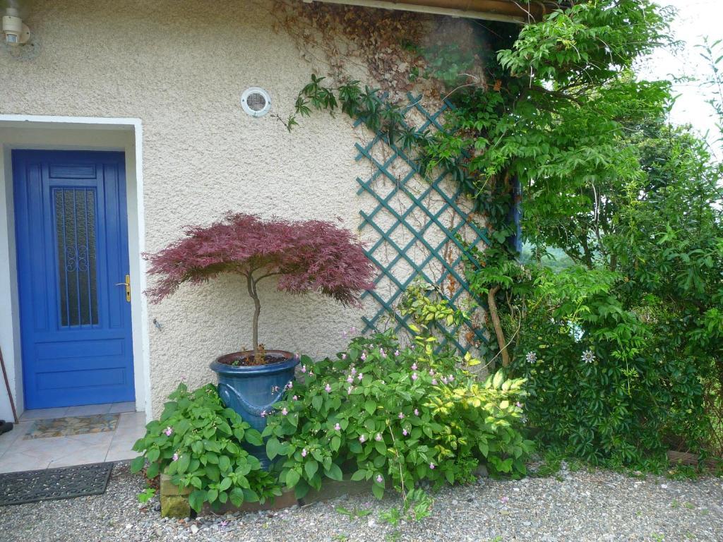 Bed and Breakfast Maison Artigouha Loubieng Экстерьер фото